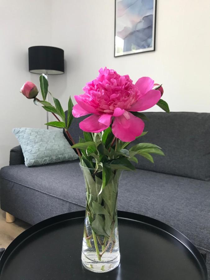 Apartman Na Kopci Krucemburk Zewnętrze zdjęcie